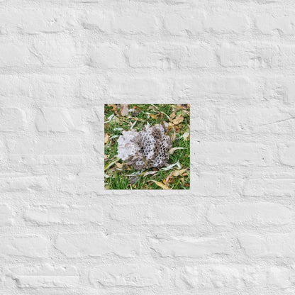 Fallen Wasp Nest: Alex Pendle Matte Photo Print, Sees Nature Series - Death World LLC - 10″×10″