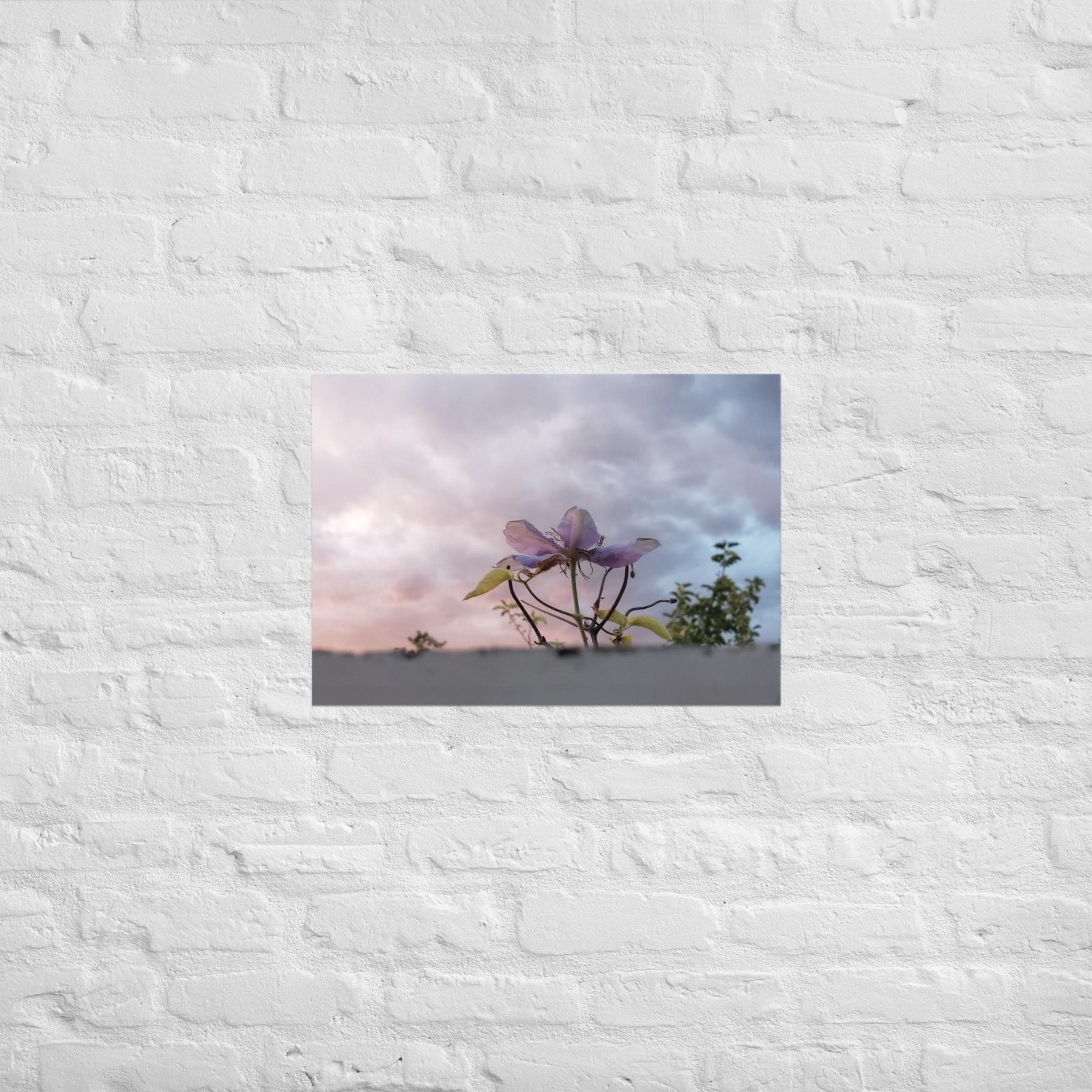 Flowering to the Sky: Alex Pendle Matte Photo Print, Sees Nature Series - Death World LLC - A2 (16.5″×23.3″)