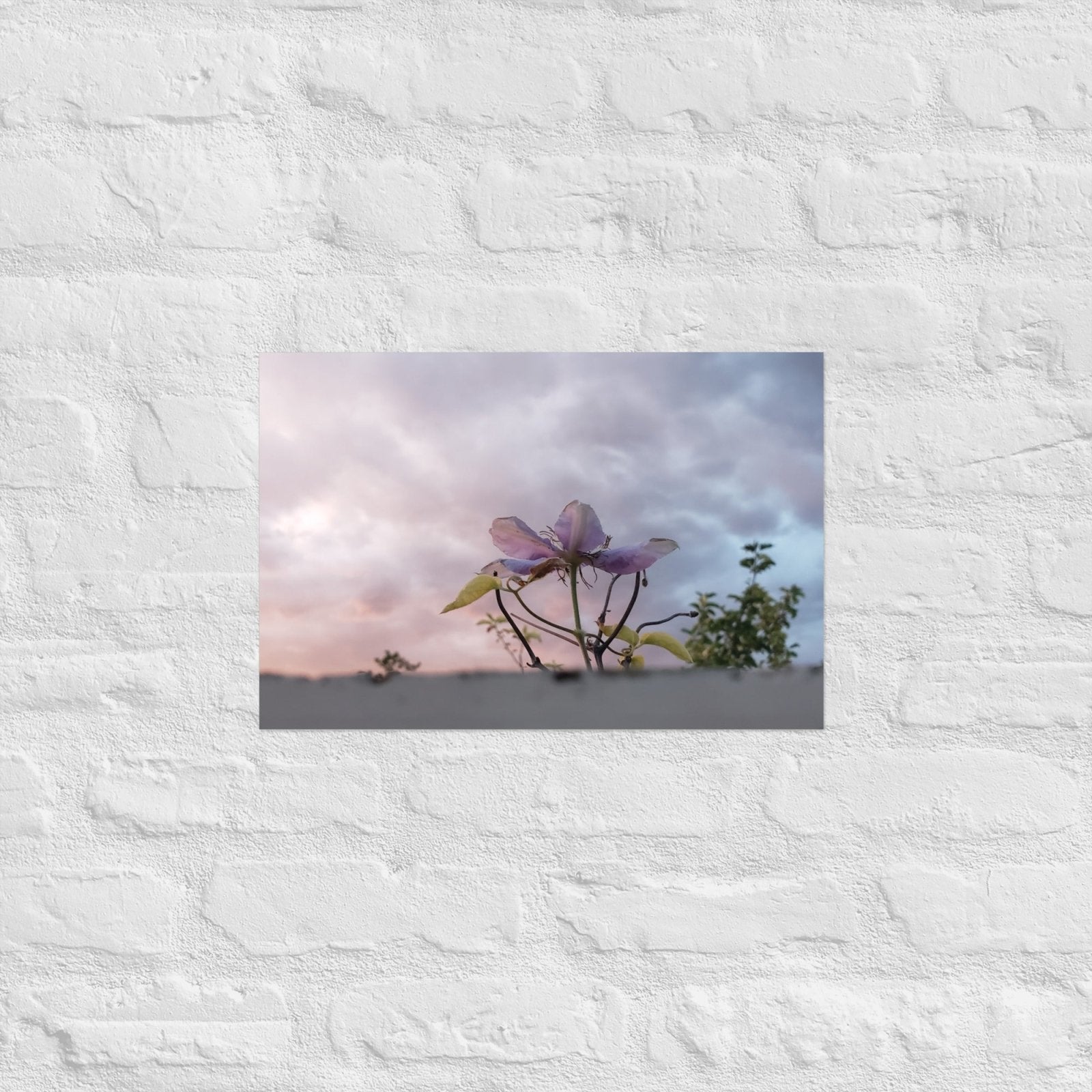 Flowering to the Sky: Alex Pendle Matte Photo Print, Sees Nature Series - Death World LLC - 12″×18″