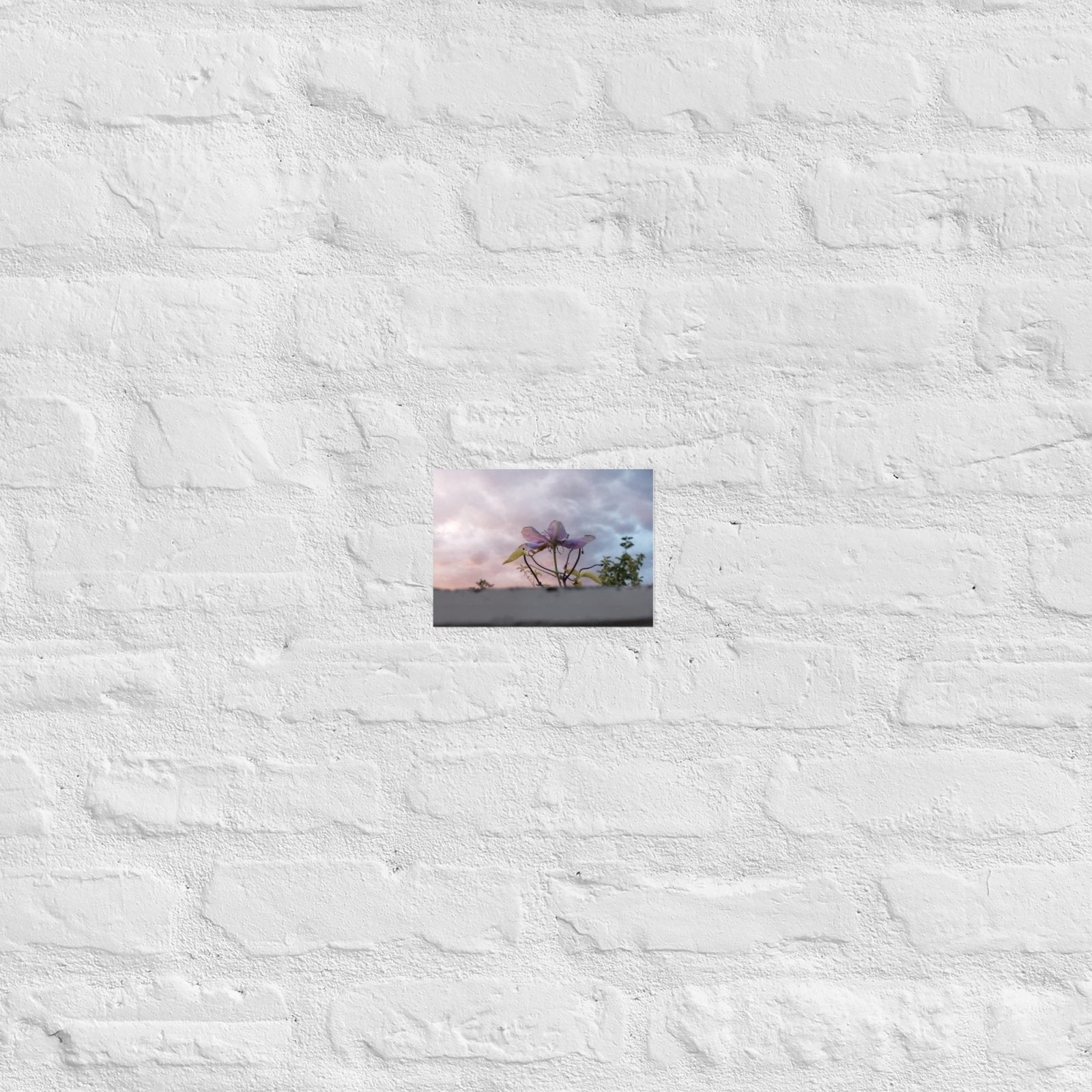 Flowering to the Sky: Alex Pendle Matte Photo Print, Sees Nature Series - Death World LLC - 5″×7″