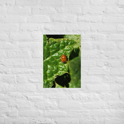 Ladybug on a Spiky Leaf: Alex Pendle Matte Photo Print, Sees Nature Series - Death World LLC - A2 (16.5″×23.3″)