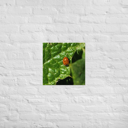 Ladybug on a Spiky Leaf: Alex Pendle Matte Photo Print, Sees Nature Series - Death World LLC - 18″×18″