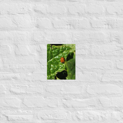 Ladybug on a Spiky Leaf: Alex Pendle Matte Photo Print, Sees Nature Series - Death World LLC - 8″×10″
