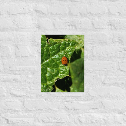 Ladybug on a Spiky Leaf: Alex Pendle Matte Photo Print, Sees Nature Series - Death World LLC - 12″×16″
