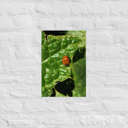 Ladybug on a Spiky Leaf: Alex Pendle Matte Photo Print, Sees Nature Series - Death World LLC - 12″×18″
