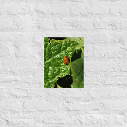 Ladybug on a Spiky Leaf: Alex Pendle Matte Photo Print, Sees Nature Series - Death World LLC - 11″×14″