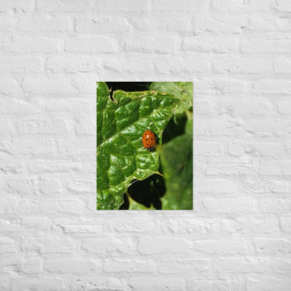 Ladybug on a Spiky Leaf: Alex Pendle Matte Photo Print, Sees Nature Series - Death World LLC - 18″×24″