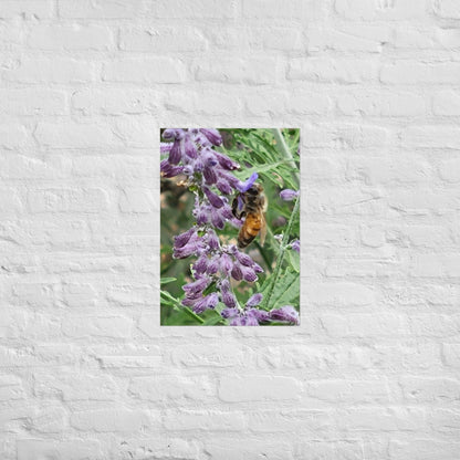 Lavender Honey Bee: Alex Pendle Matte Photo Print, Sees Nature Series - Death World LLC - A2 (16.5″×23.3″)