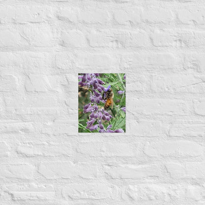 Lavender Honey Bee: Alex Pendle Matte Photo Print, Sees Nature Series - Death World LLC - 8″×10″