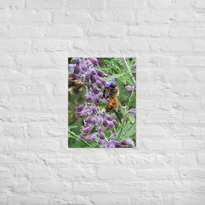 Lavender Honey Bee: Alex Pendle Matte Photo Print, Sees Nature Series - Death World LLC - 18″×24″