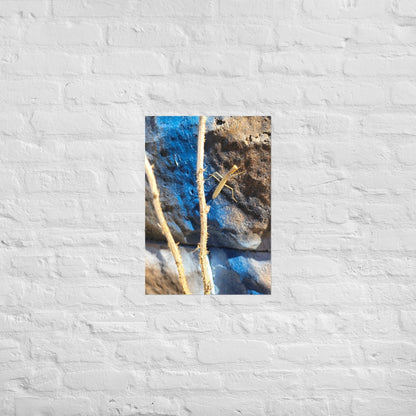 Preying Mantis on Graffiti: Alex Pendle Matte Photo Prints, Sees Nature Series - Death World LLC - A2 (16.5″×23.3″)