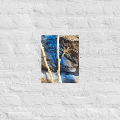 Preying Mantis on Graffiti: Alex Pendle Matte Photo Prints, Sees Nature Series - Death World LLC - 11″×14″