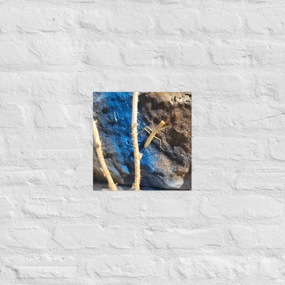 Preying Mantis on Graffiti: Alex Pendle Matte Photo Prints, Sees Nature Series - Death World LLC - 12″×12″