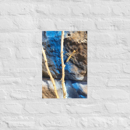 Preying Mantis on Graffiti: Alex Pendle Matte Photo Prints, Sees Nature Series - Death World LLC - 12″×18″