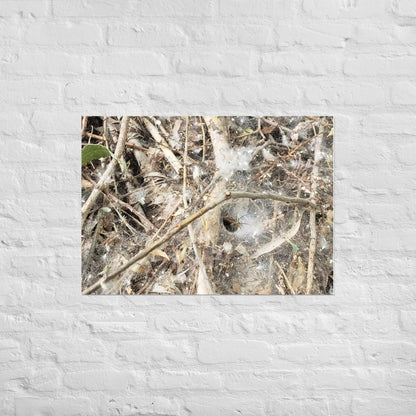 Tunnel Web: Alex Pendle Matte Photo Print, Sees Nature Series - Death World LLC - A1 (23.3″×33.1″)