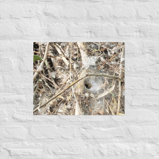 Tunnel Web: Alex Pendle Matte Photo Print, Sees Nature Series - Death World LLC - 16″×20″