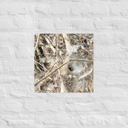 Tunnel Web: Alex Pendle Matte Photo Print, Sees Nature Series - Death World LLC - 16″×16″