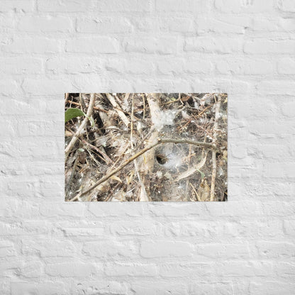 Tunnel Web: Alex Pendle Matte Photo Print, Sees Nature Series - Death World LLC - 20″×30″