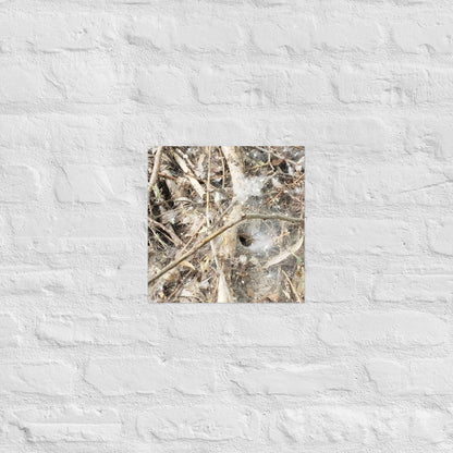 Tunnel Web: Alex Pendle Matte Photo Print, Sees Nature Series - Death World LLC - 12″×12″