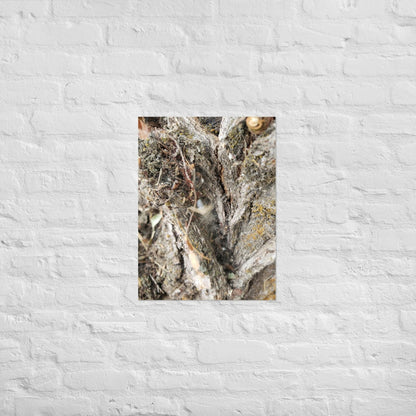 Web Between the Logs: Alex Pendle Matte Photo Print, Sees Nature Series - Death World LLC - 18″×24″