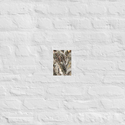Web Between the Logs: Alex Pendle Matte Photo Print, Sees Nature Series - Death World LLC - 5″×7″