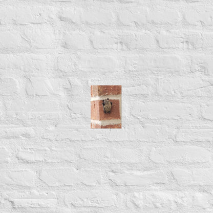 Wee Resting Bat: Alex Pendle Matte Photo Print, Sees Nature Series - Death World LLC - 5″×7″